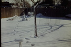 IMAG0013