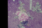 IMAG0034