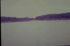 IMAG0021